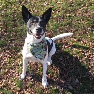 Meet your Posher, Claire